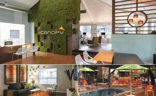 CS1031 Canopy Apartments, Multifamily in San Antonio, TX